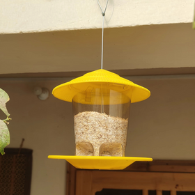 Bird Hanging Feeder