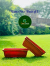 (3 Piece in 1 Pack) Rectangular Planter For Flowers & Vegetables