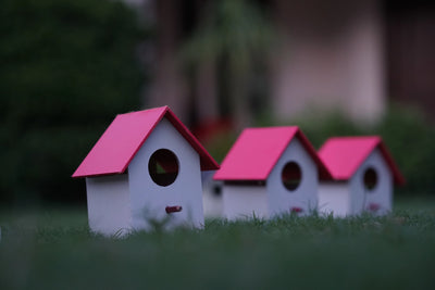 Charming Bird Houses