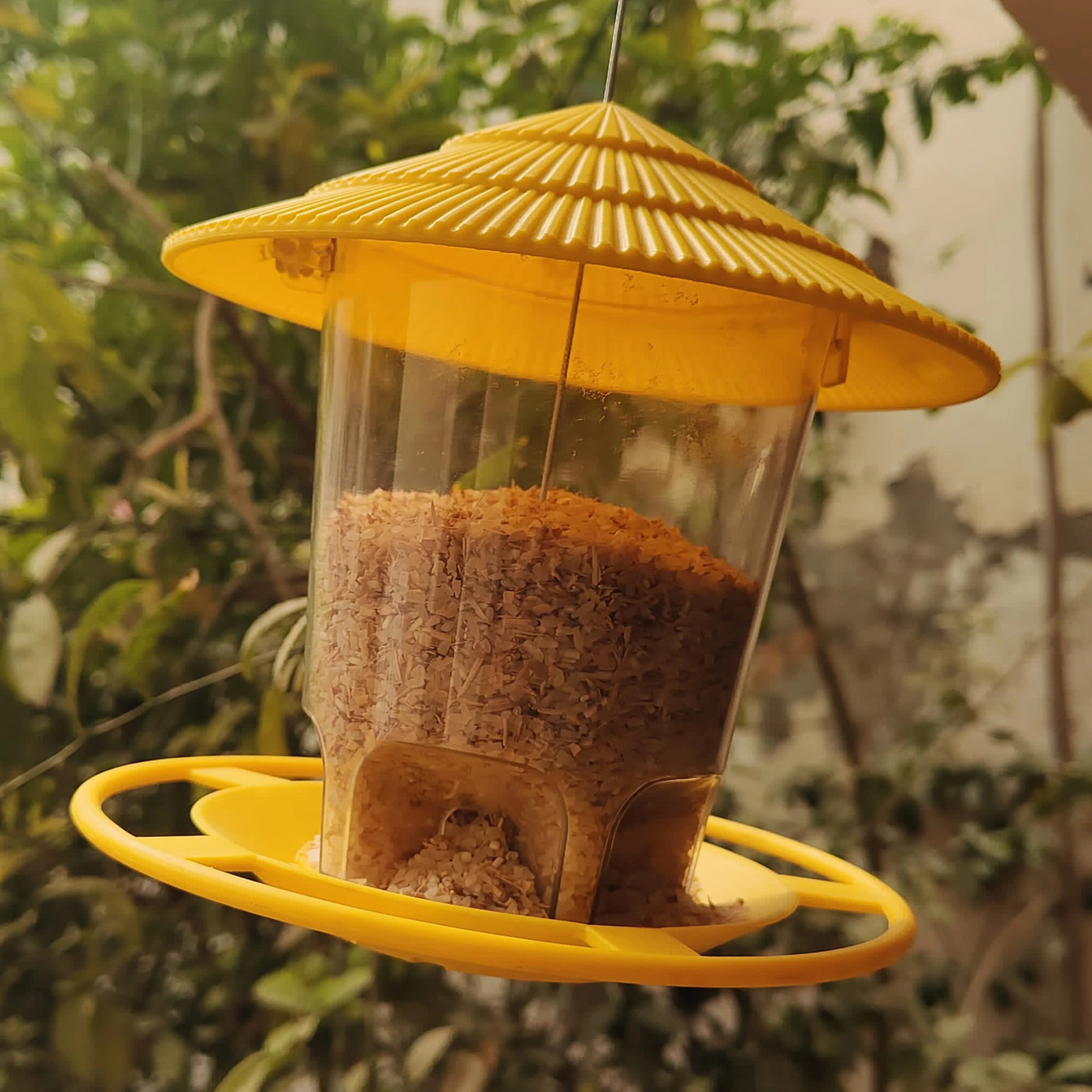 Bird Hanging Feeder