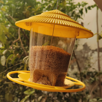 Bird Hanging Feeder