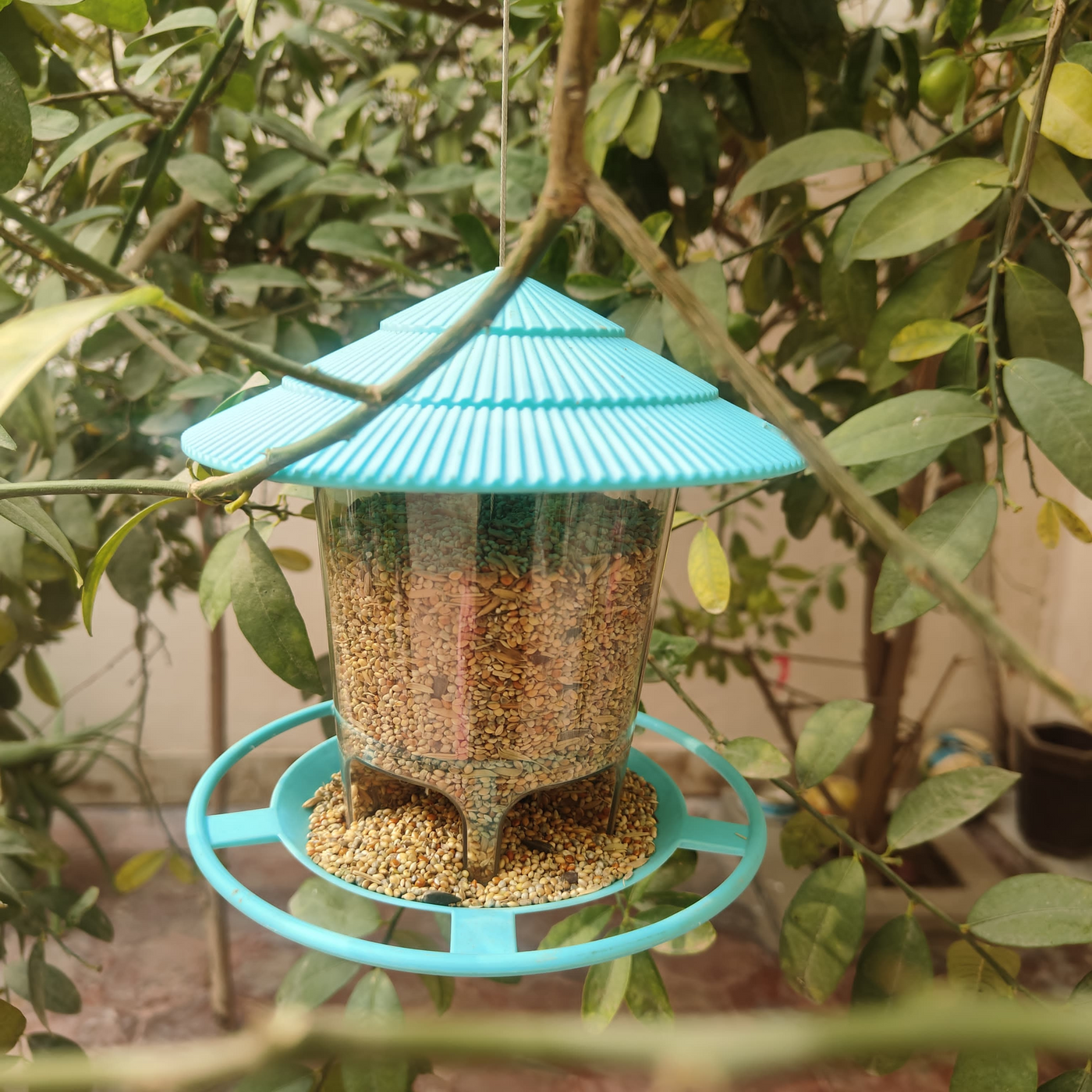 Bird Hanging Feeder