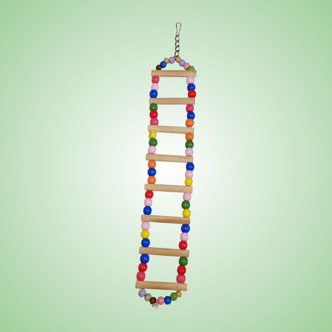 (Pack of 2) Ladder Swings for Birds – Colorful Wooden Climbing Ladders & Swing Toys for Parrots, Cockatiels & Small Birds