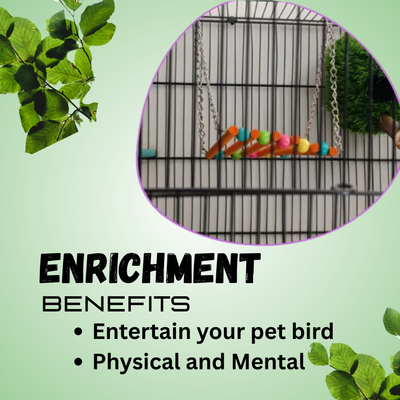 (Pack of 2) Straight Swings – Colorful Wooden Ladder & Swing Set for Parakeets, Cockatiels, Conures & Small Birds