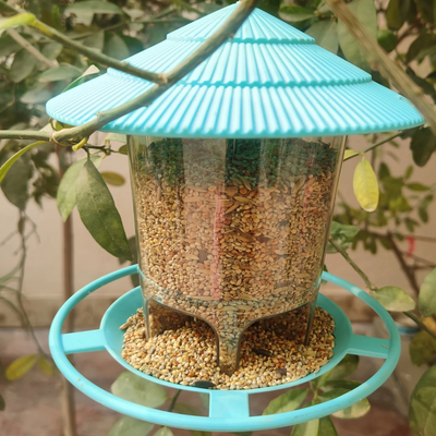 Bird Hanging Feeder