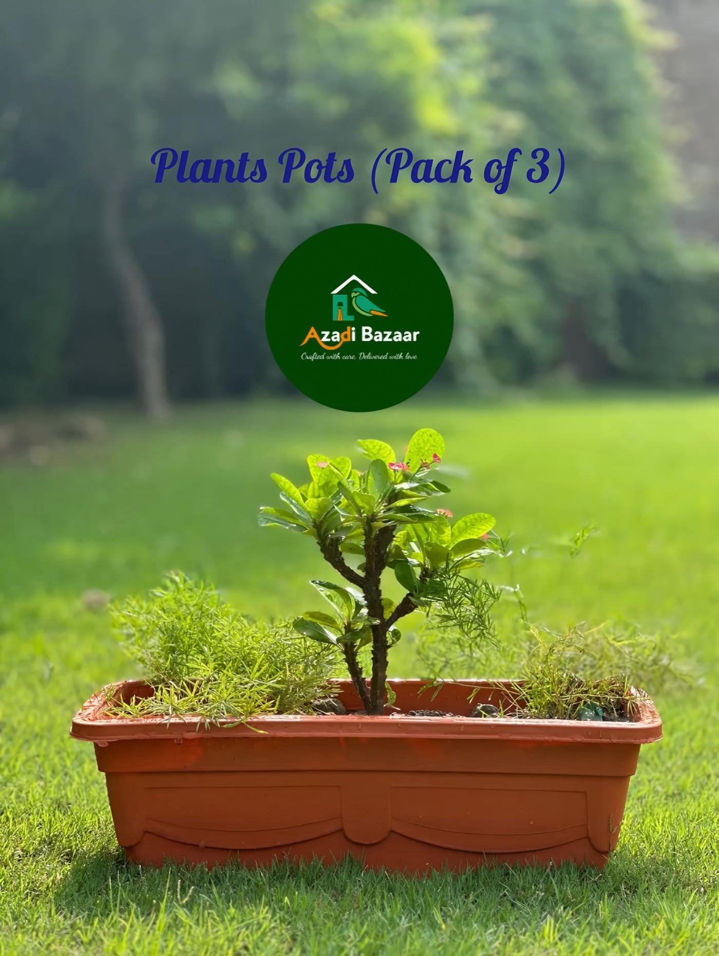 (3 Piece in 1 Pack) Rectangular Planter For Flowers & Vegetables