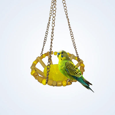 (Pack of 2) Round Bird Swings – Wooden Ladder & Colorful Swing Combo for Parakeets, Cockatiels, Conures & Small Birds